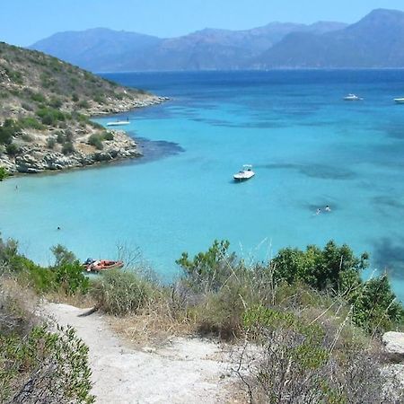 Studio Centre Ville Saint-Florent A 100M De La Mer Eksteriør billede